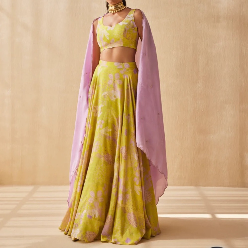 Ankita Dharman Mellow Dream Lehenga /India Wedding Lehenga